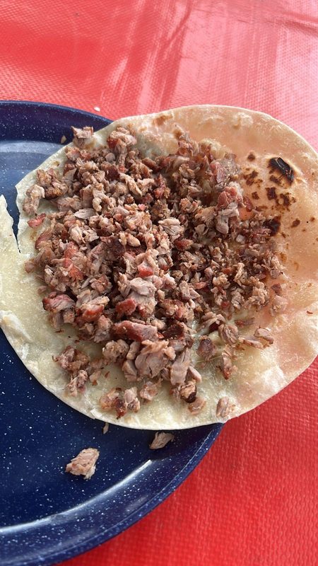 Quesadillita de asadita